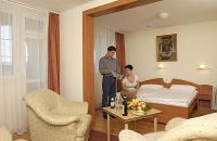 Double room in Hotel Park Eger - Wellness & Conference Hotel Eger Park 