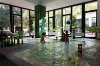 Oxigen ZEN Spa Hotel in Noszvaj - children's pool